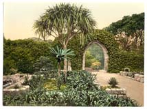 CON_Scilly_Isles_11168_Tresco_Abbey_old_arches_Cornwall