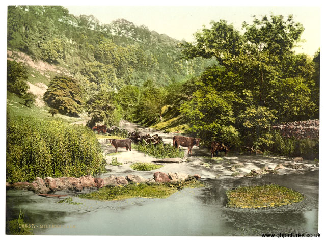 DBY_Millers_Dale_10867_Derbyshire