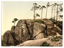 DBY_Cromford_10462_the_Black_Rocks_Derbyshire