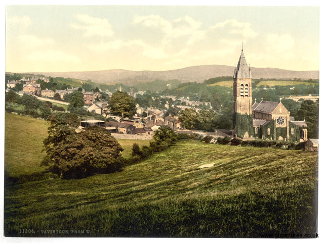 DEV_Tavistock_11306_From_the_west