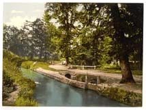 DEV_Newton_Abbott_11344_Bradley_Woods