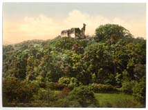 DEV_Okehampton_11120_The_castle