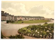 DEV_Teignmouth_10707_The_den