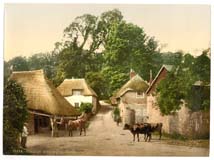 DEV_Torquay_10528_Cockington_Forge