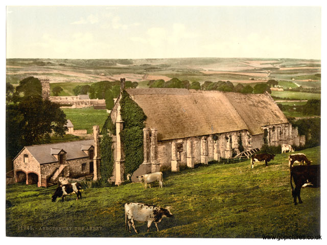 DOR_Abbotsbury_11045_The_Abbey