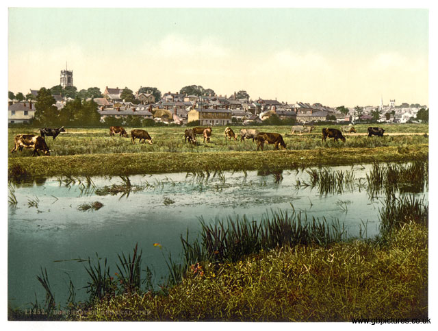DOR_Dorchester_11252_General_view