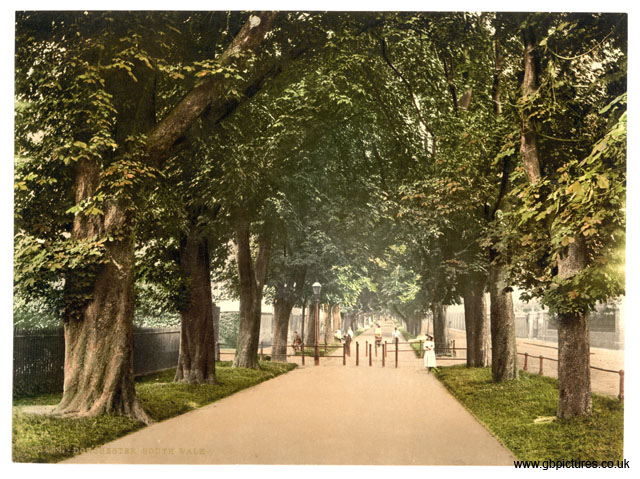 DOR_Dorchester_11254_South_Walk