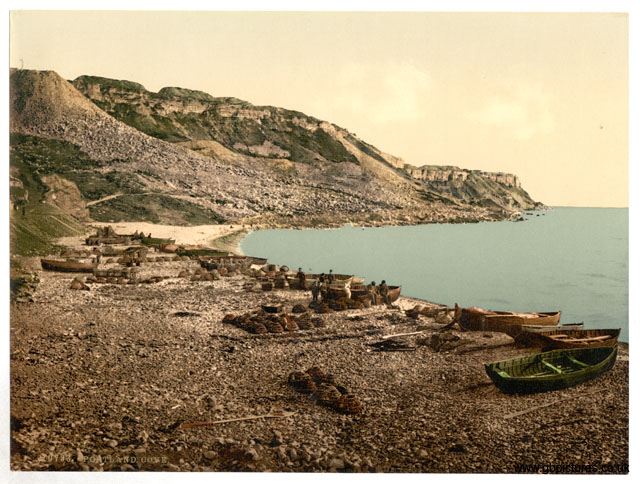 DOR_Portland_10793_Cove