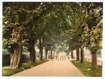 DOR_Dorchester_11254_South_Walk