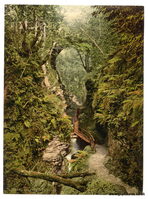 GLS_Lydford_11309_The_gorge
