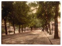 GLS_Cheltenham_10726_Promenade_looking_towards_Hight_Street