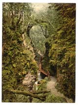 GLS_Lydford_11309_The_gorge