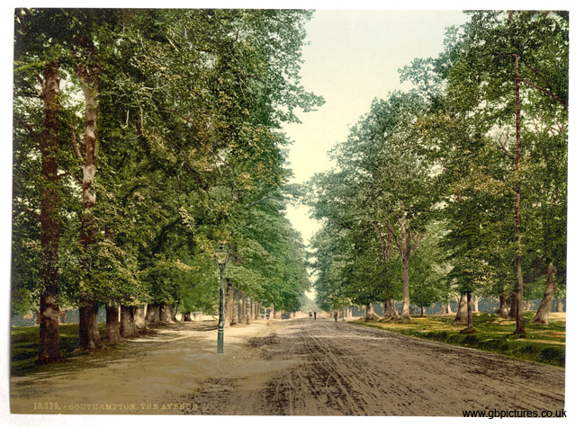 HAM_Southampton_10339_The_Avenue