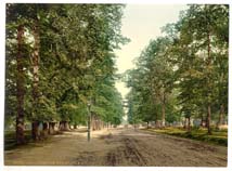 HAM_Southampton_10339_The_Avenue