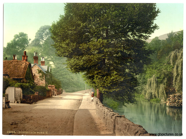 IOW_Bonchurch_10303_Pond_II