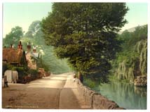 IOW_Bonchurch_10303_Pond_II
