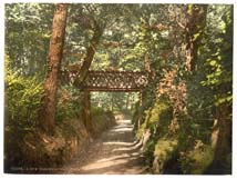 IOW_Freshwater_Bay_11192_Tennysons_home