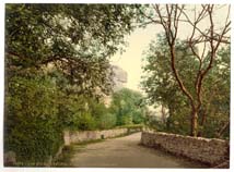 IOW_Ventnor_10334_road_to_the_Undercliff