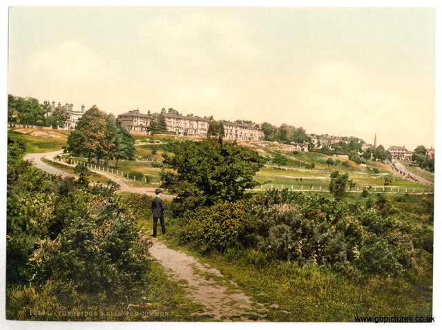 KEN_Tunbridge_Wells_10894_The_common