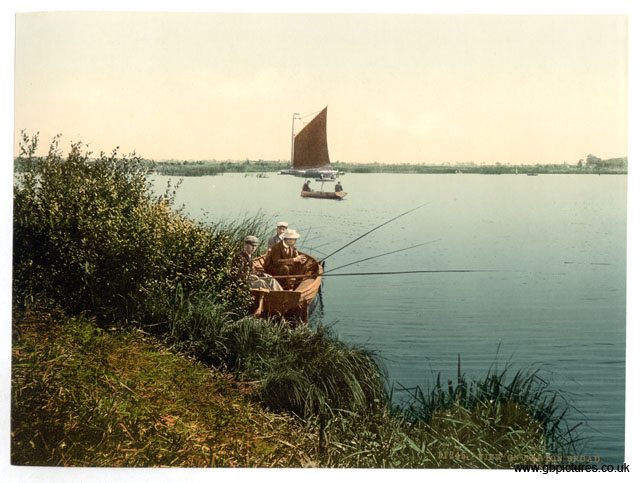 NFK_Barton_Broad_11245_View_on_th_ river