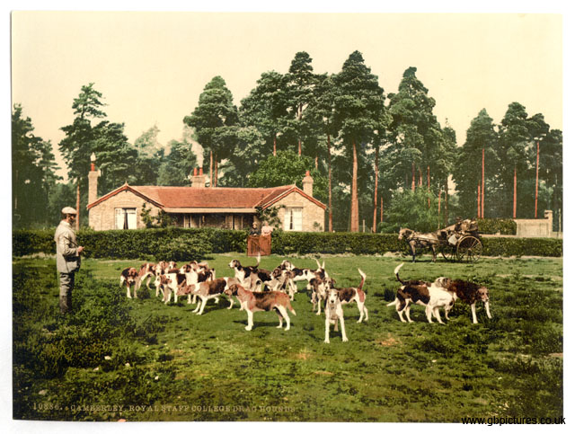 SRY_Camberley_10886_Royal_Staff_College_drag_hounds