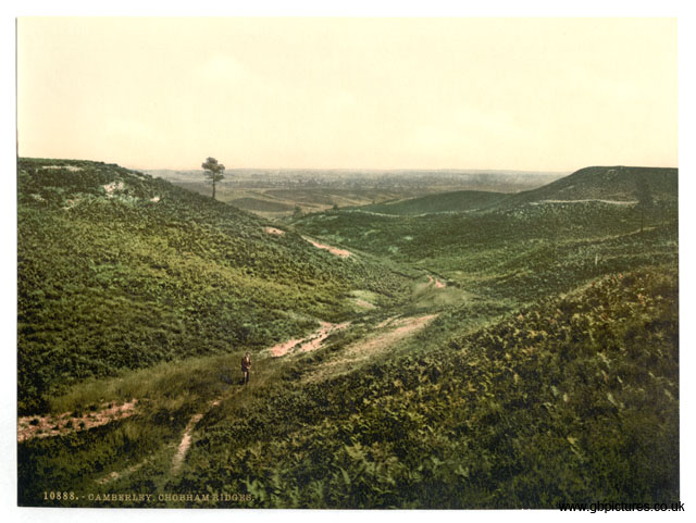 SRY_Camberley_10888_Chobham_Ridges