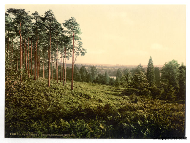 SRY_Camberley_10890_Brackendale_Estate