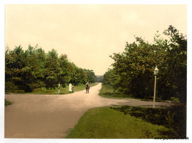 SRY_Camberley_10891_Bagshot_Road
