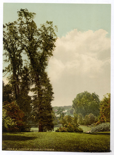 SRY_Richmond_01513_the_terrace_II