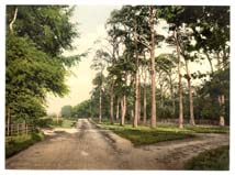 SRY_Camberley_10883_Sandhurst_Royal_Military_College_a_favorite_drive_II