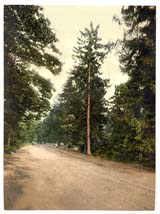 SRY_Camberley_10884_Sandhurst_Royal_Military_College_a_favorite_drive_I