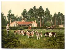 SRY_Camberley_10886_Royal_Staff_College_drag_hounds