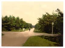 SRY_Camberley_10891_Bagshot_Road