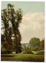 SRY_Richmond_01513_the_terrace_II