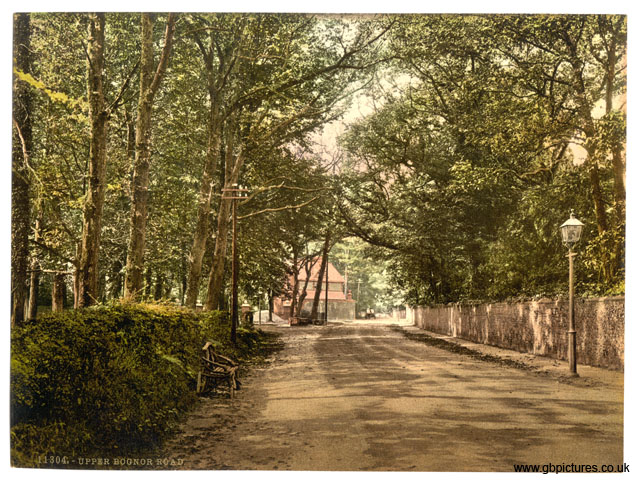 SSX_Bognor_11304_Upper_Bognor_Road