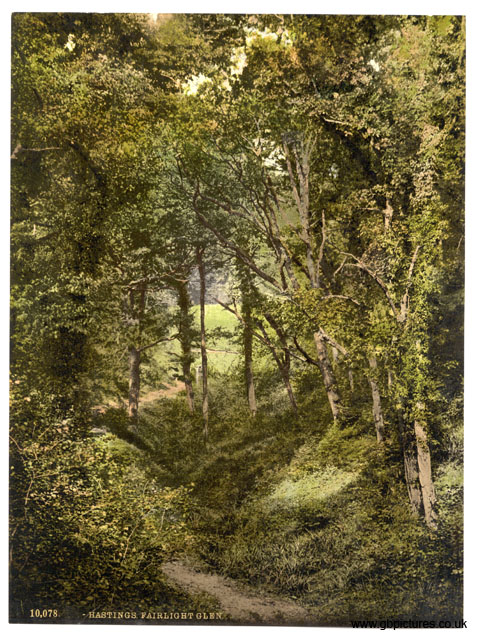 SSX_Hastings_10078_Fairlight_Glen