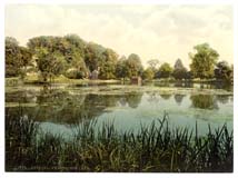 SSX_Arundel_Castle_11336_Swanbourne_Lake