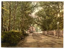 SSX_Bognor_11304_Upper_Bognor_Road