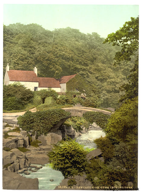 T&W_Newcastle-on-Tyne_10125_Jesmond_Dene_old_mill