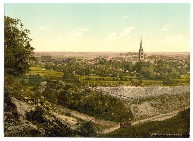 WIL_Salisbury_10077_General_view
