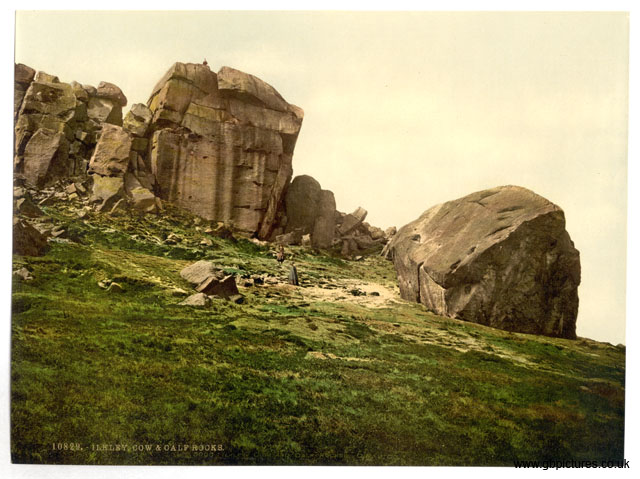 YKS_Ilkley_10829_Cow_and_Calf_Rocks