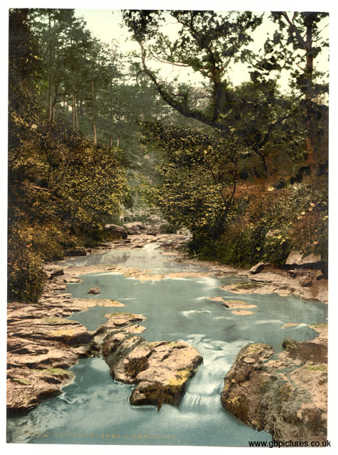 YKS_Scarborough_10835_Hayburn_Wyke_Yorkshire