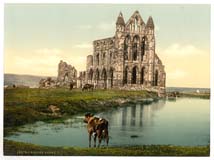 YKS_Whitby_10379_the_abbey_Yorkshire_II