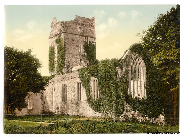 KER_Killarney_12009_Muckross_Abbey_Co_Kerry