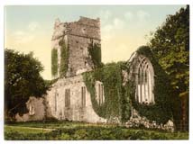 KER_Killarney_12009_Muckross_Abbey_Co_Kerry