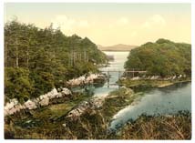 KER_Parknasilla_12039_Co_Kerry