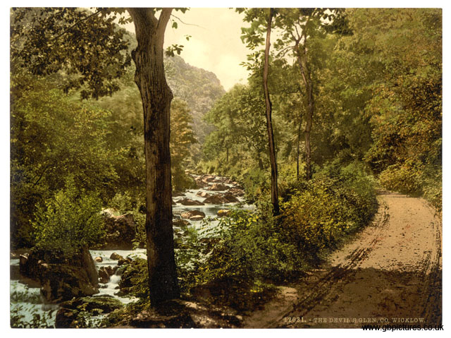 WIK_12031_Devils_Glen_Co_Wicklow