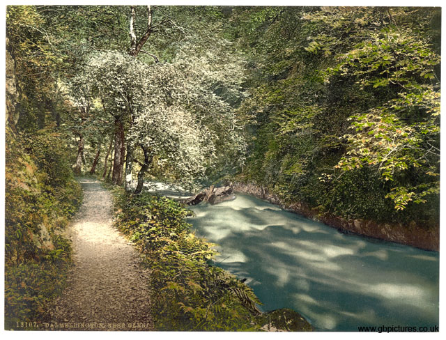 AYR_Dalmellington_13107_Ness_Glen