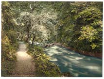 AYR_Dalmellington_13107_Ness_Glen