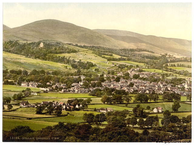 CLK_Dollar_13169_General_view